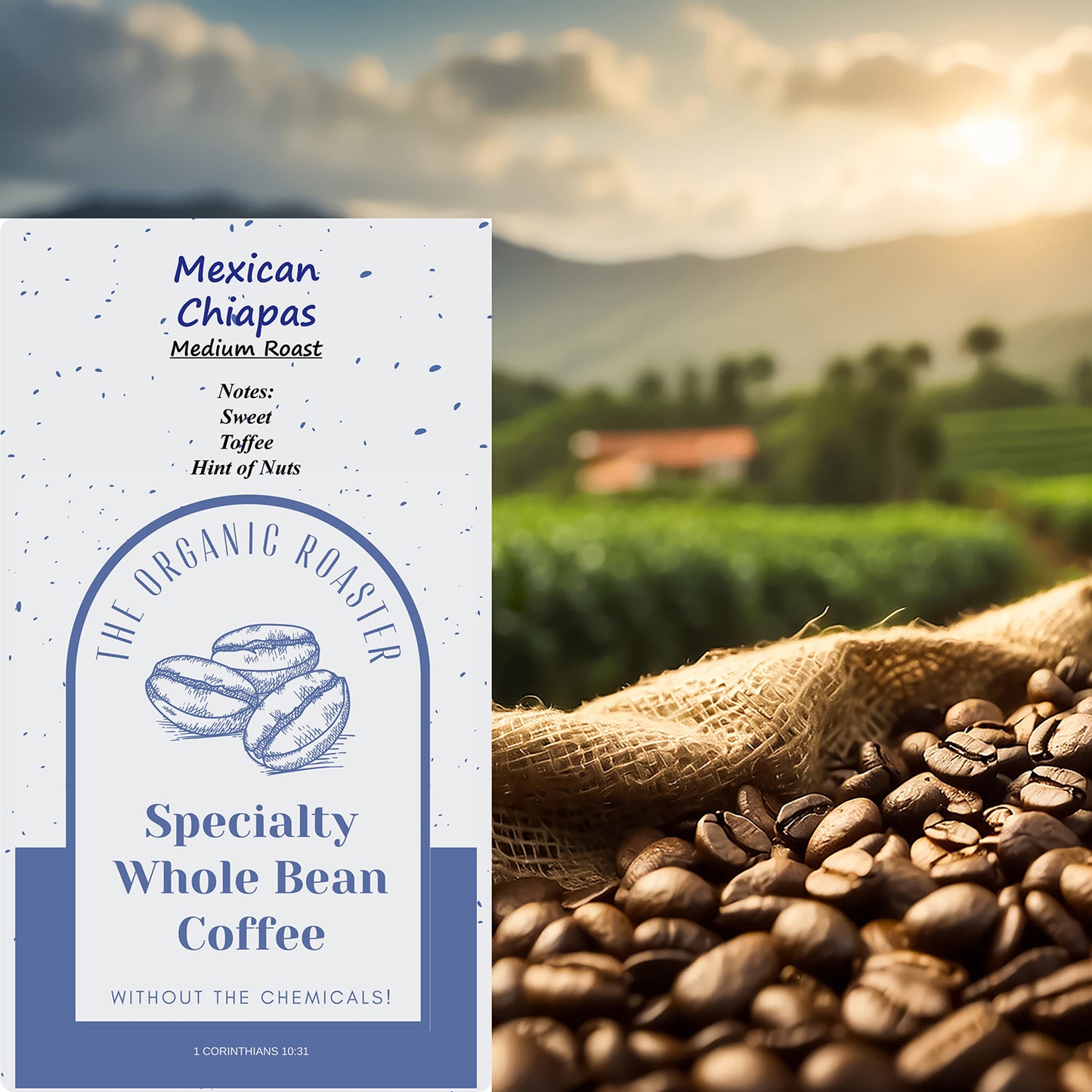Mexican Chiapas (Medium)