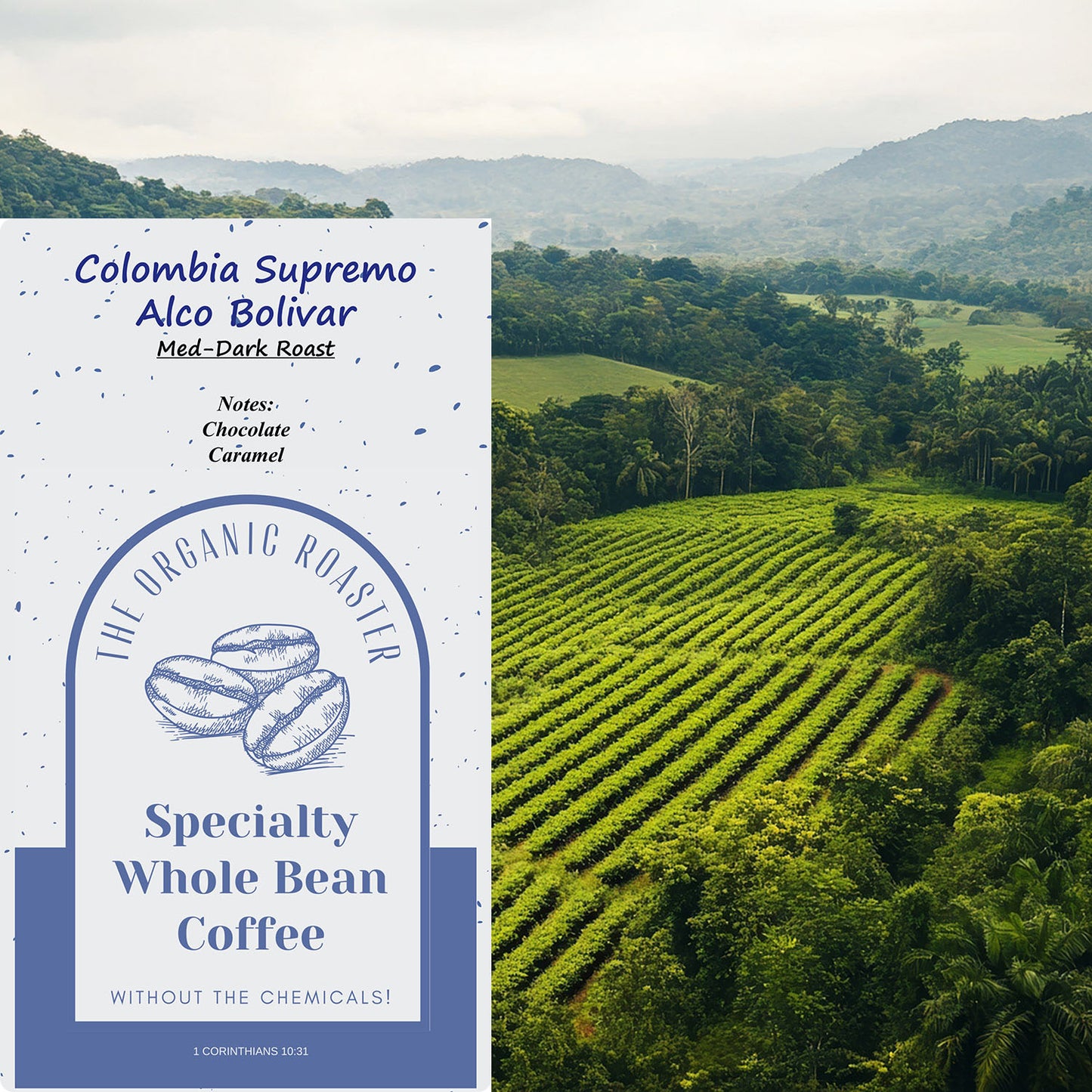 Colombian Supremo Alco Bolivar - Med-Dark