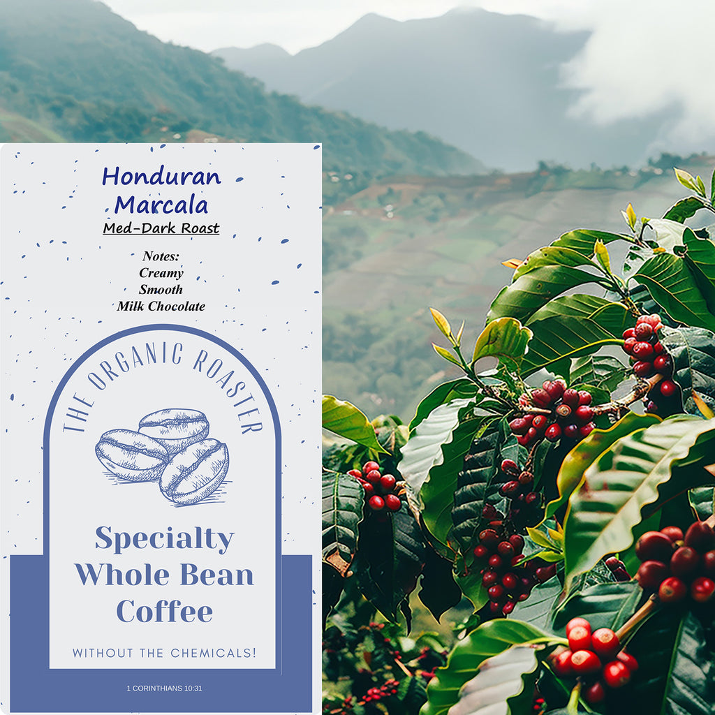 Honduran Marcala (Med-Dark)