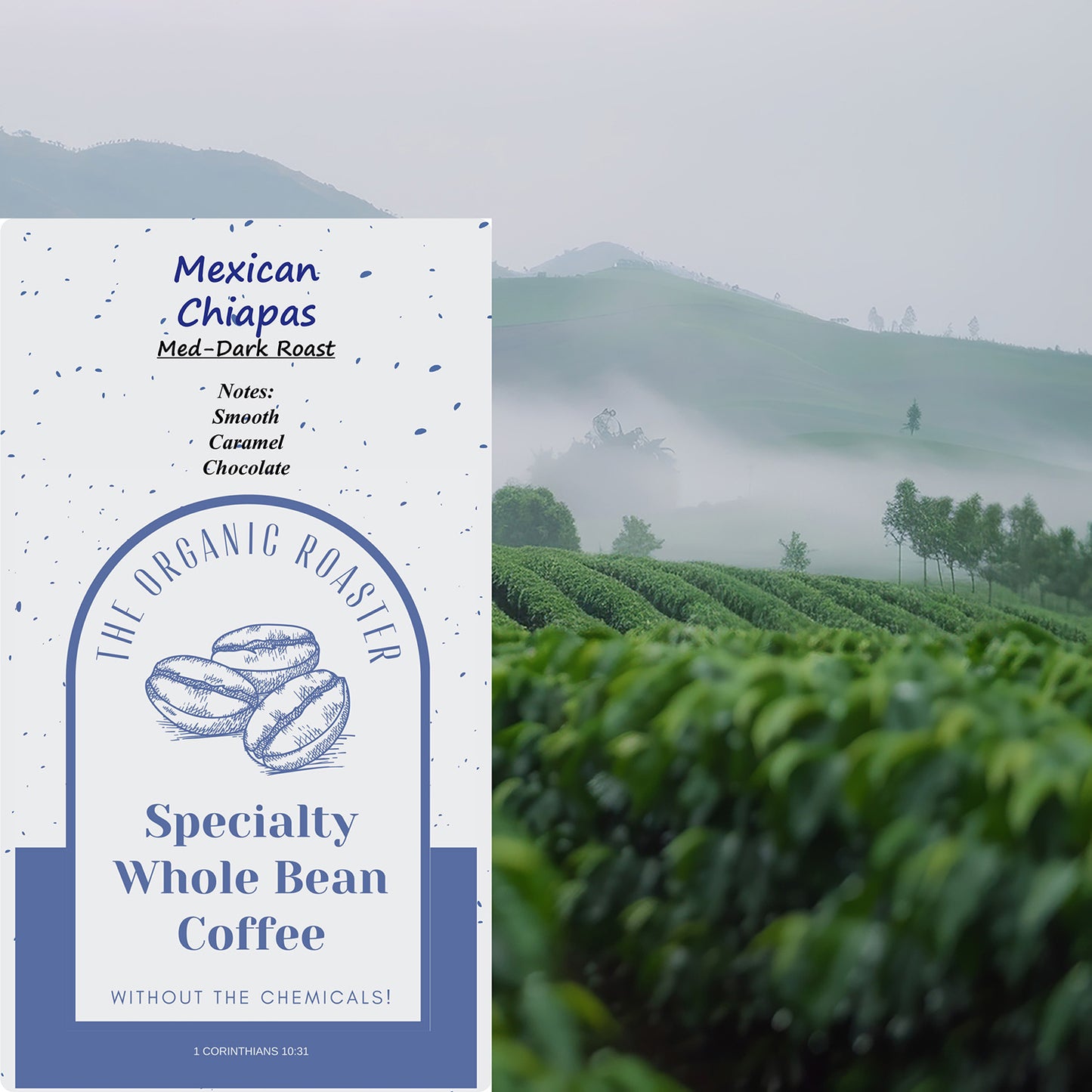 Mexican Chiapas (Med-Dark)