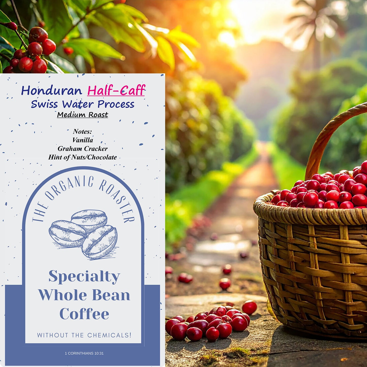 Honduran Half-Caff (Medium) 2Lb