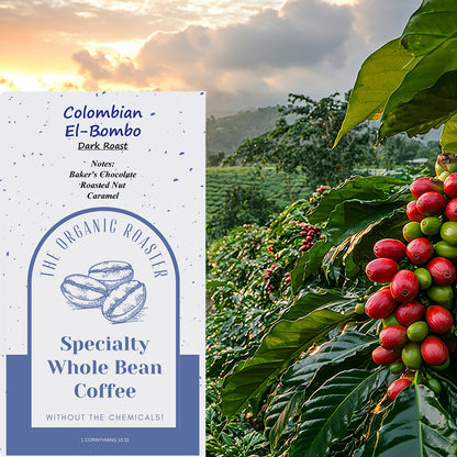 Colombian El Bombo (Dark)