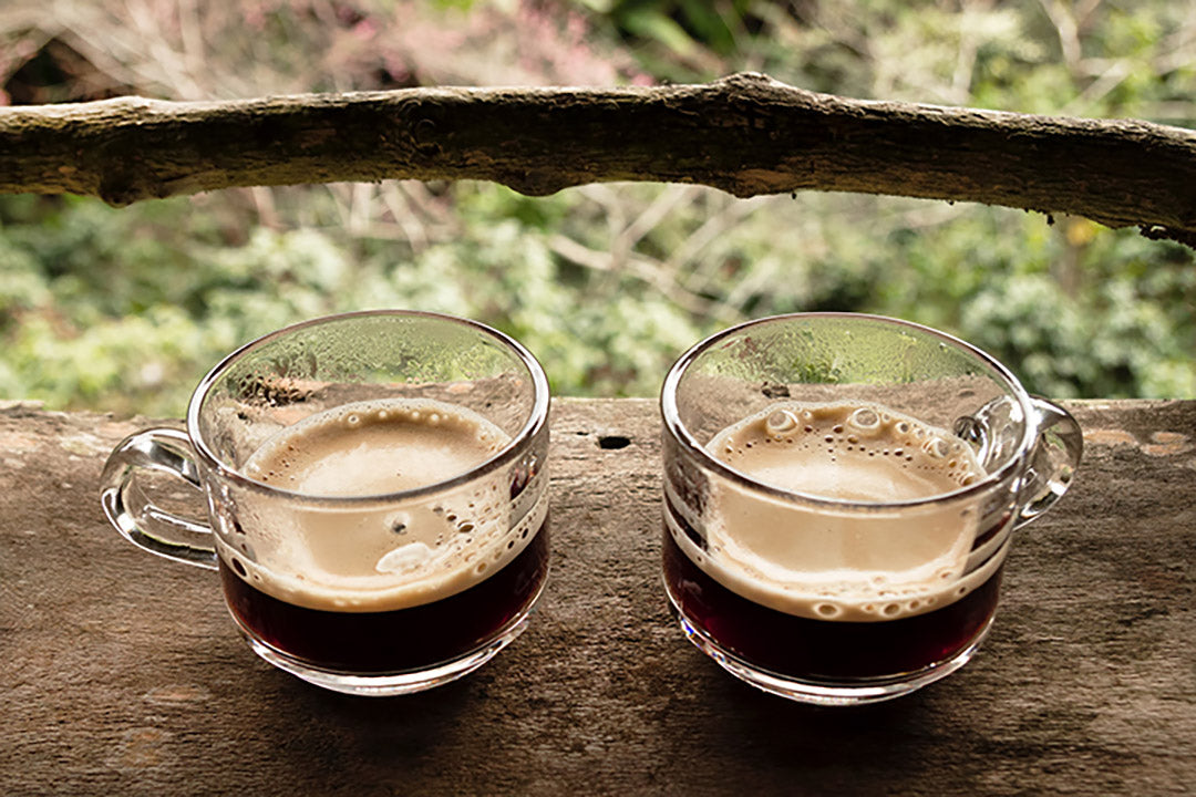 Honduran Finca Bethel Coffee