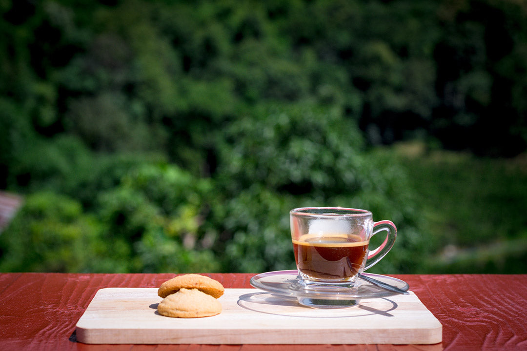 Honduran Marcala (Medium)
